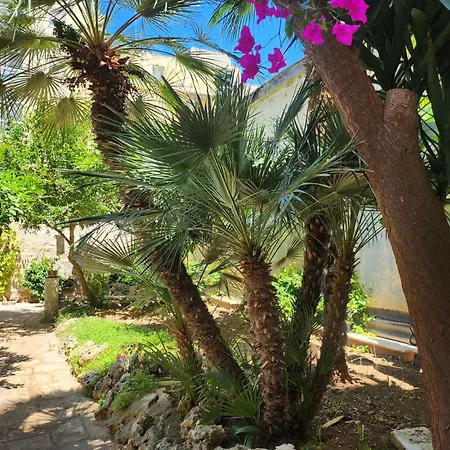 Soavis Garden In Downtown *