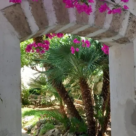Soavis Garden In Downtown Apartment