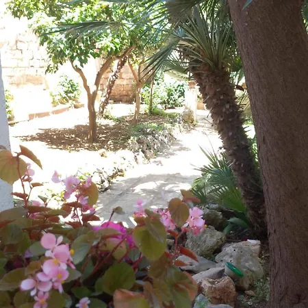 Soavis Garden In Downtown *