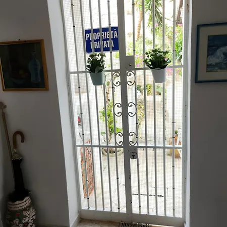 Soavis Garden In Downtown Apartment